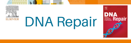 DNA Repair