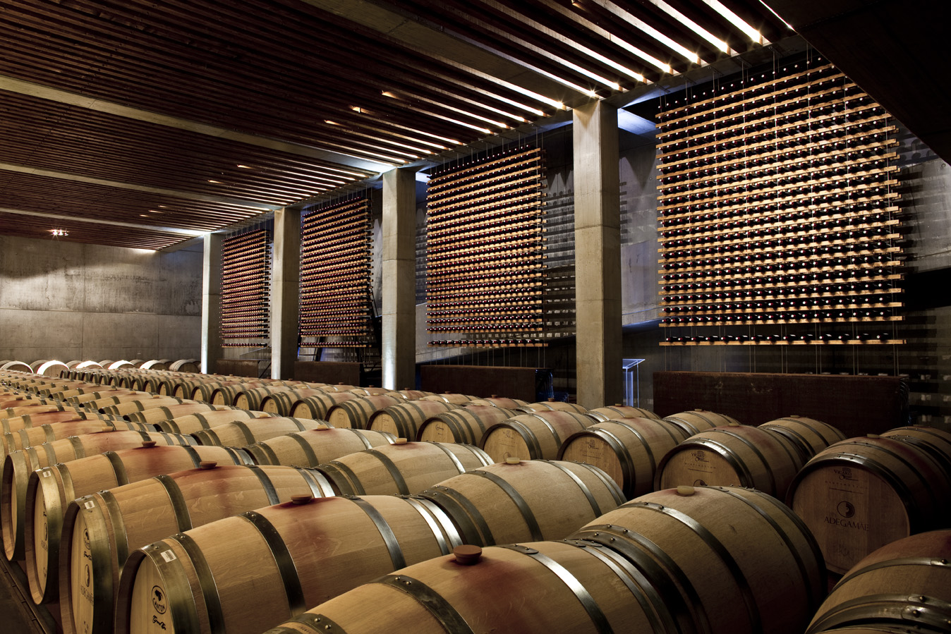 Wine and Wisdom in Portugal