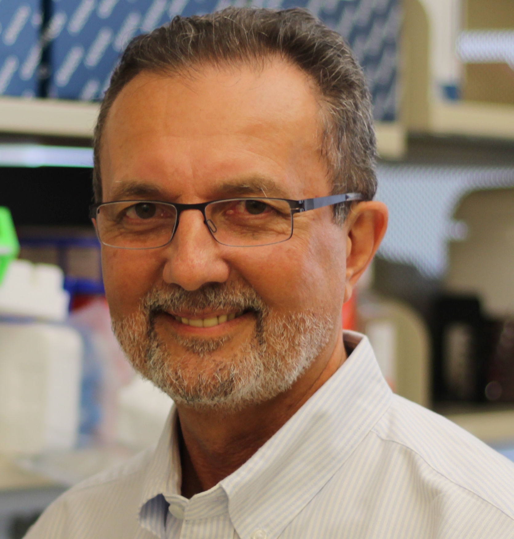 Wellington V. Cardoso