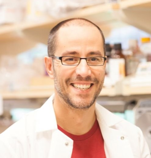 Miguel Ramalho-Santos
