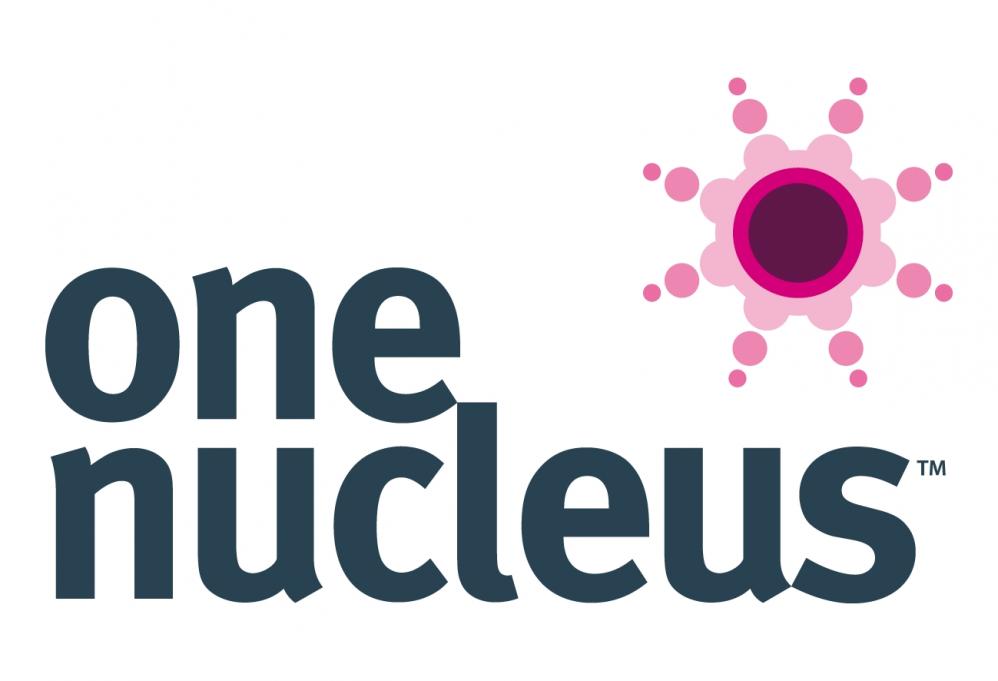 One Nucleus