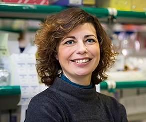 Monica Bettencourt-Dias 
