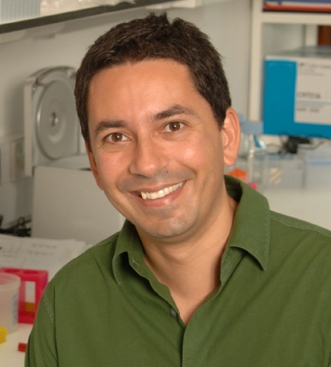 Caetano Reis e Sousa