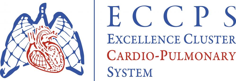 Excellence Cluster Cardiopulmonary System, ECCPS